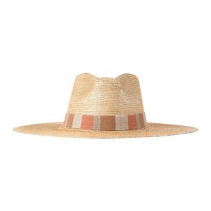 Muted Multicolor Stripe Palm Hat
